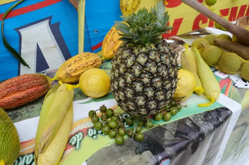 Frutas y verduras de Tame.